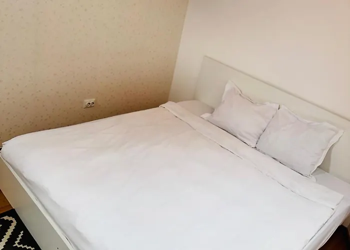 아파트 Schei Brasov-скей 브라쇼브