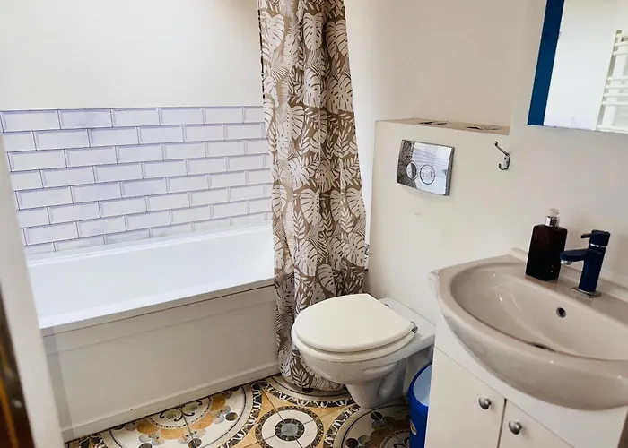 Schei Brasov-скей