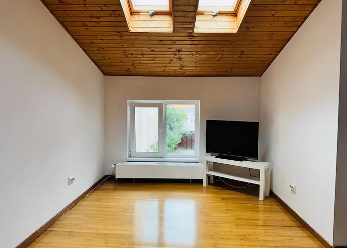 Schei Brasov-скей *