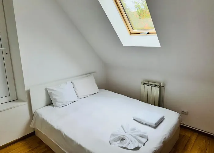 アパート Schei Brasov-скей ブラショフ