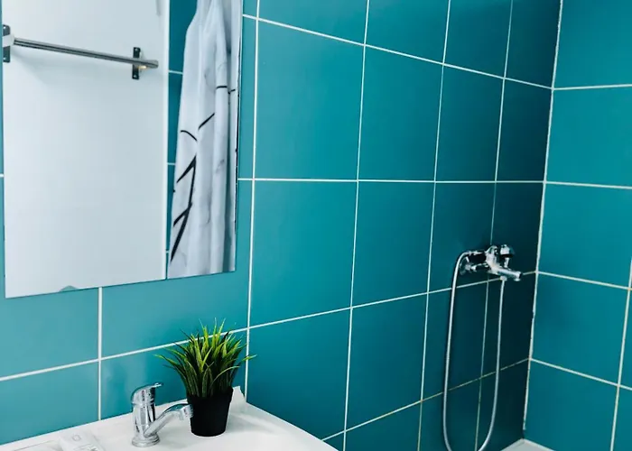 アパート Schei Brasov-скей