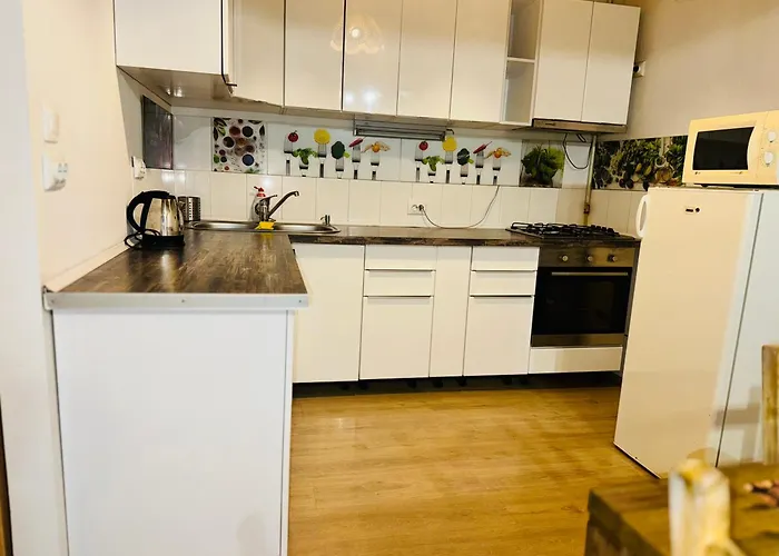 Schei Brasov-скей 아파트