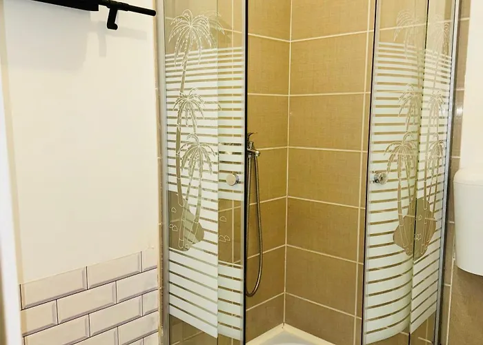 Schei Brasov-скей 아파트 브라쇼브